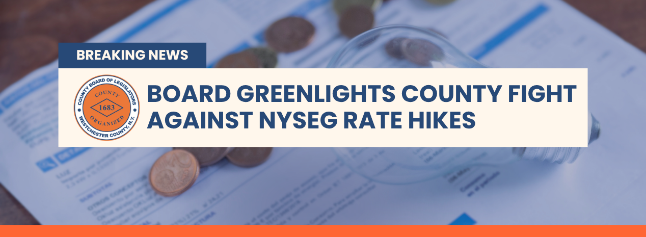 Board Approves County Fight Against NYSEG’s Steep Rate Hikes