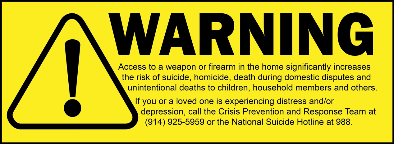 Gun Safety Warning Graphic