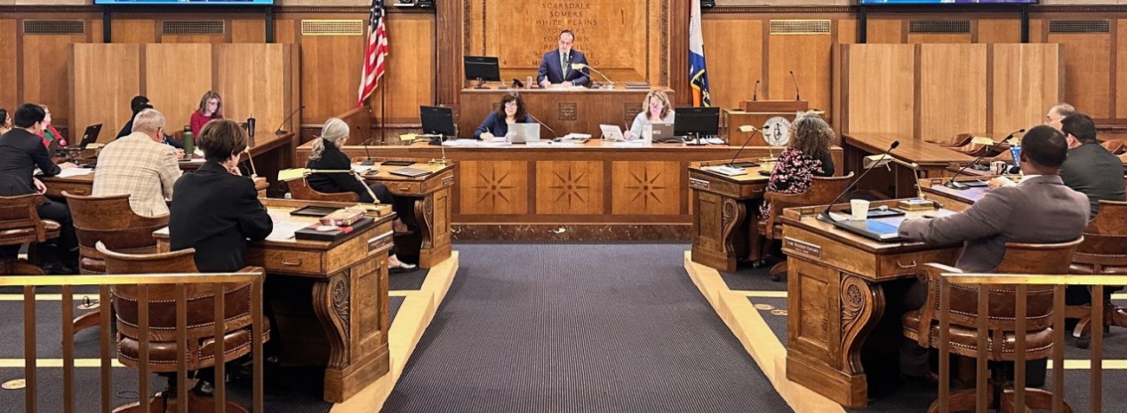 A legislative meeting in session with council members seated at wooden desks arranged in a semicircle, facing a podium where a speaker is addressing the group. American and state flags are visible in the background.