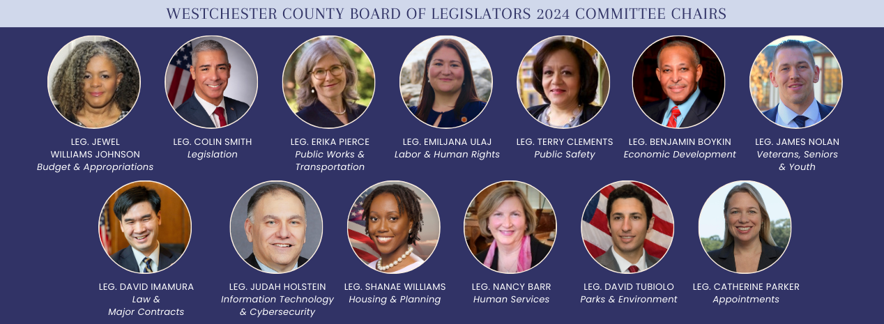 Headshots of 2024-25 committee chairs
