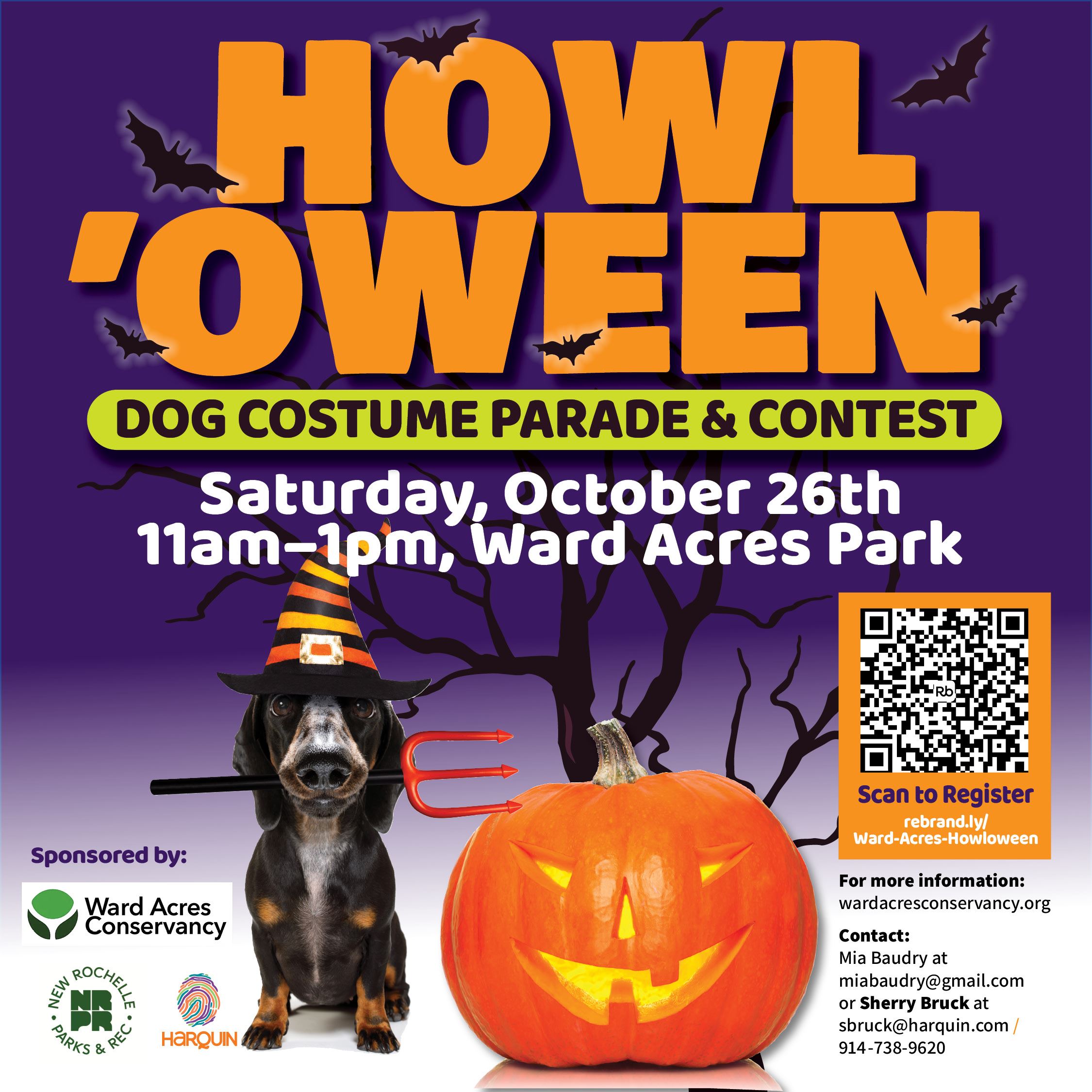 Ward Acres Park event flyer with text